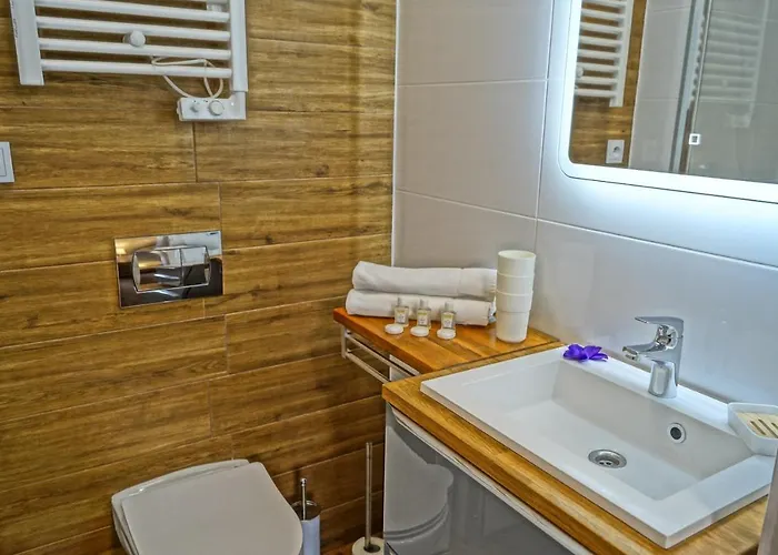 佩斯霍内特米基思吉酒店 4* 兹戈热莱茨